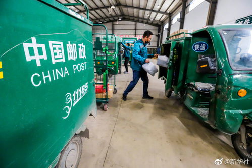 快遞業(yè)務(wù)量突破400億件，電信基礎(chǔ)設(shè)施成重要支撐