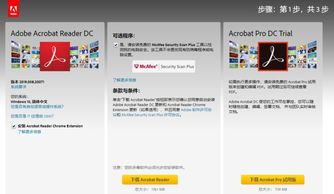 告別Flash時(shí)代 為何我們?nèi)噪y舍“過(guò)時(shí)”軟件與服務(wù)
